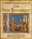 "A brief introduction to the New Testament http://books.google.no/books?id=kOV3wY08nt4C&dq=9780195161236&hl=no&sa=X&ei=XEilUeHgG8qz4ASq6oCYCg&ved=0CC0Q6AEwAA" av Bart D. Ehrman